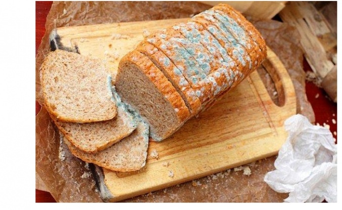 Küflü Tarafını Keserek Attığınız Ekmeğin Kalanını Yemek Ne Kadar Sağlıklıdır?