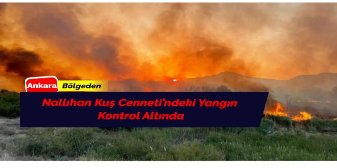 Nallıhan Kuş Cenneti’nde Meydana Gelen Yangın Kontrol Altına Alındı