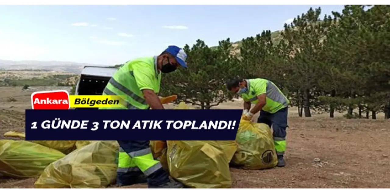 1 günde 3 ton atık toplandı