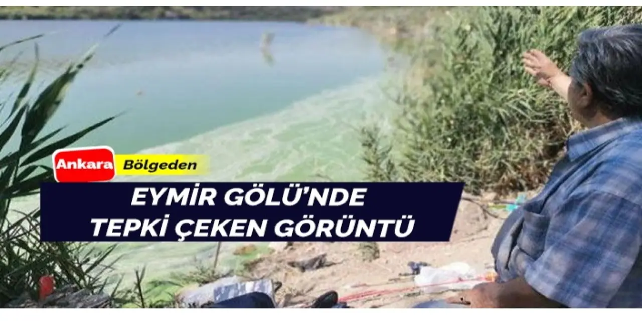 Eymir Gölü'nden Hem Üzen Hem Tepki Çeken Görüntüler