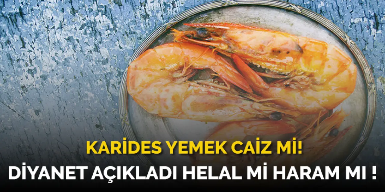 Karides Yemek Caiz Midir? Karides Haram Mı Helal Mi?