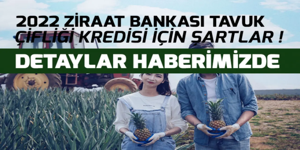 Ziraat Bankası’ndan Tavuk Çiftliği Açmak İsteyenlere Kredi