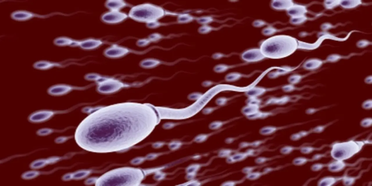 Sperm Yutmak
