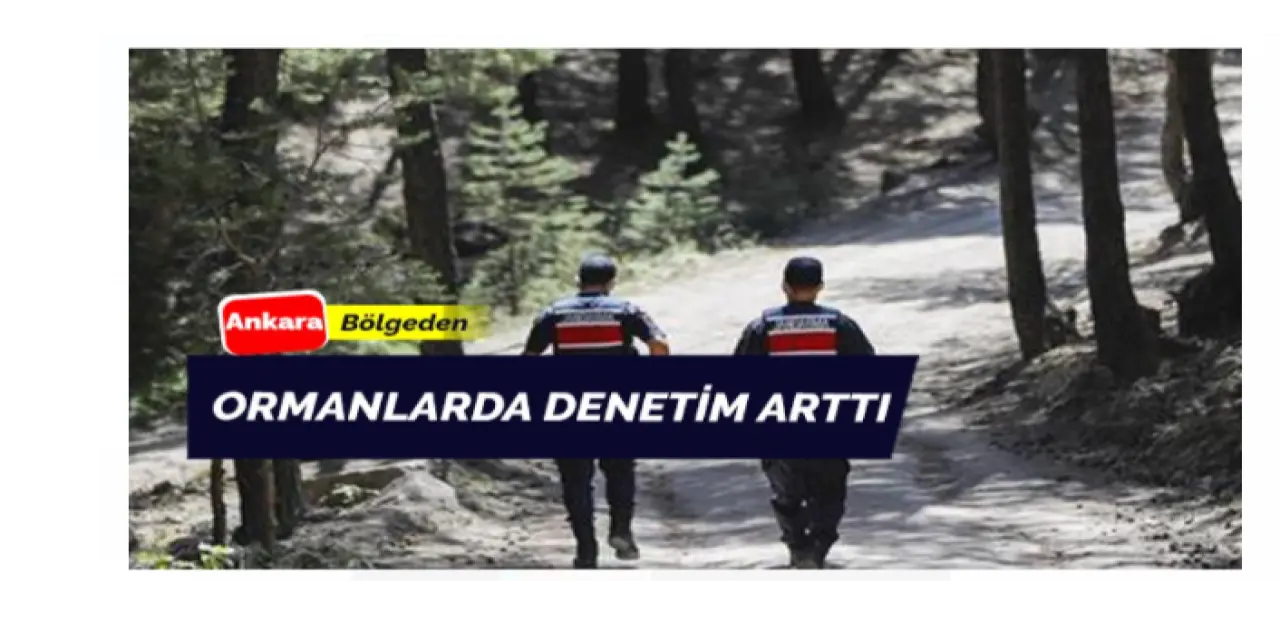 Ankara Ormanlarında Denetim Arttı