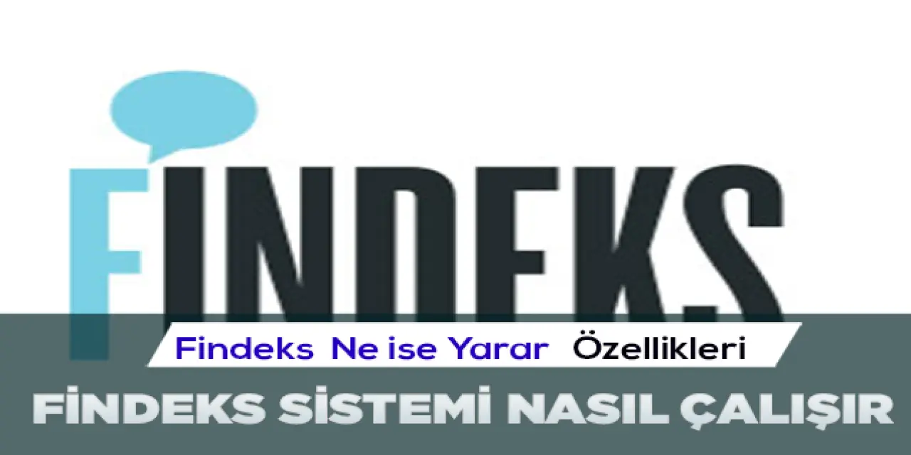 Findex Nedir? Nasıl Kullanılır?