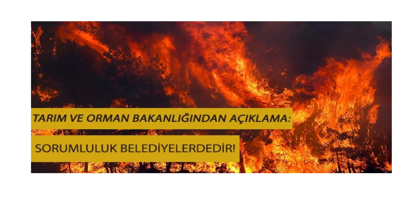 Tarım ve Orman Bakanı: ’Sorumluluk Belediyelerdedir’