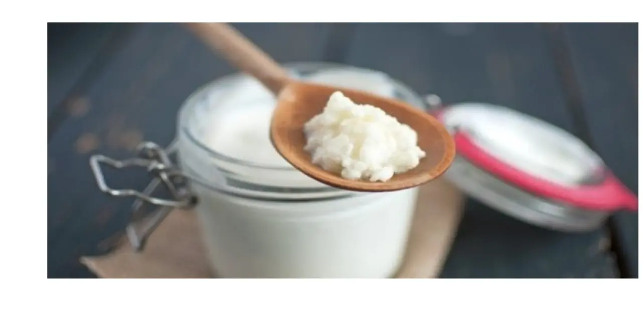 Kefirin faydaları nelerdir? Evde kefir nasıl yapılır?