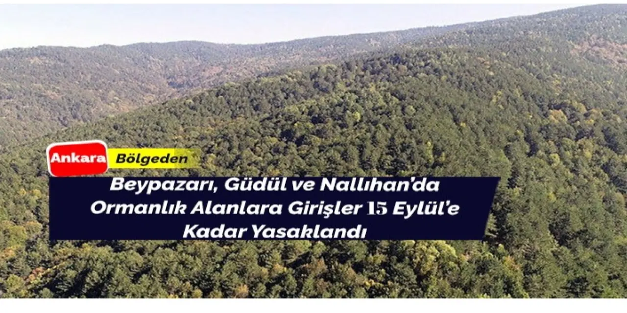 Beypazarı, Güdül ve Nallıhan'da Ormanlara Giriş Yasaklandı