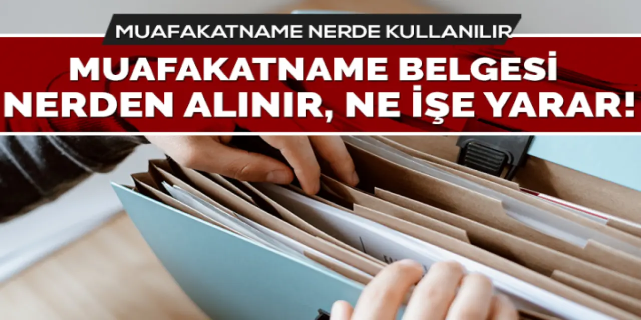 Muvafakatname Ne Demektir? Ne işe Yarar?