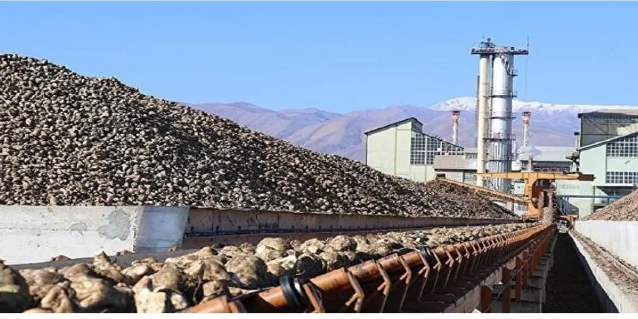 Hangi Şehirlerimizde Şeker Fabrikası Bulunuyor? Ankara’da kaç adet şeker fabrikası Var ve Nerede?