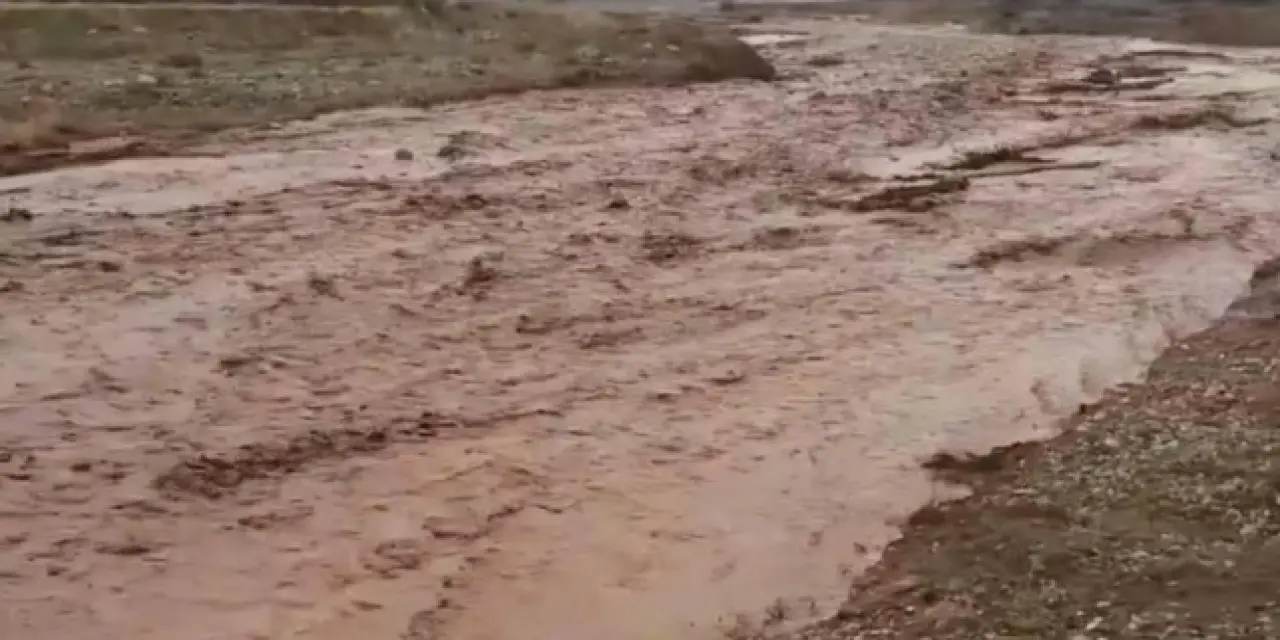 Nallıhan'da sel ekili arazilere zarar verdi
