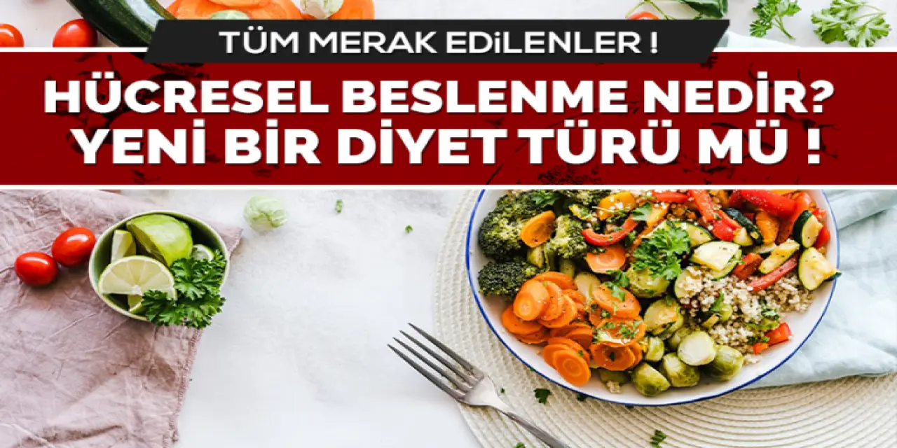 Hücresel Beslenme Nedir?