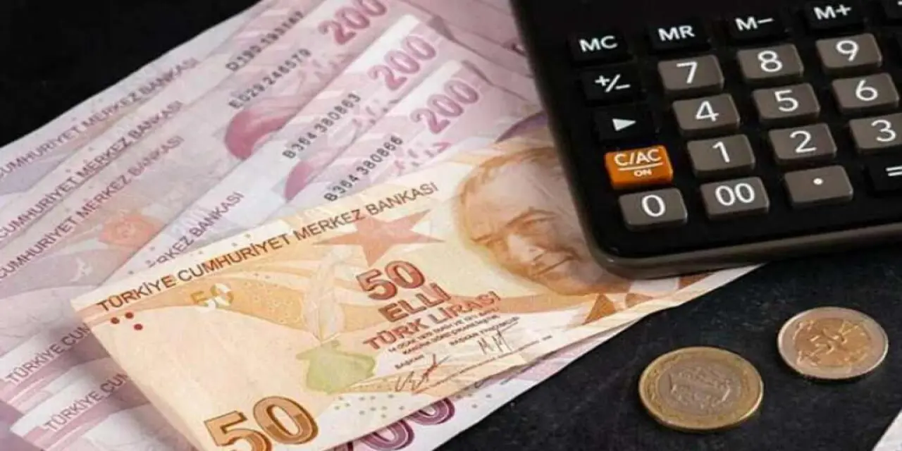 Emekli Kredi Desteklerinde Devlet ve Banka İş Birliği : Yeni Düzenlemeler ve Etkileri