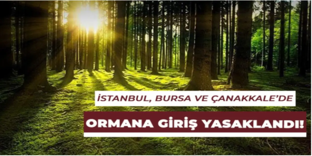 İstanbul, Bursa Ve Çanakkale İllerinde Ormana Girişler Yasaklandı