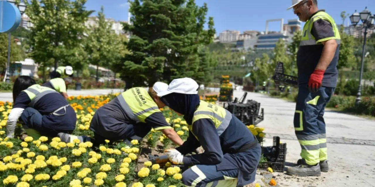 Başkent’teki yeni model ile Ankara çiçek açacak