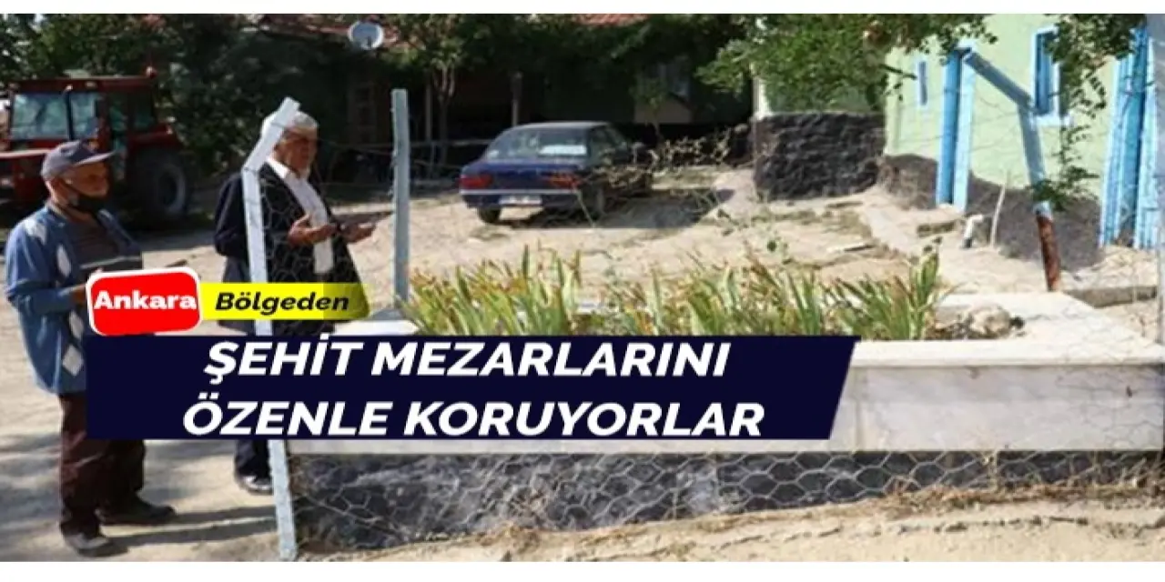 Şehit mezarlarını dikkatle koruyorlar