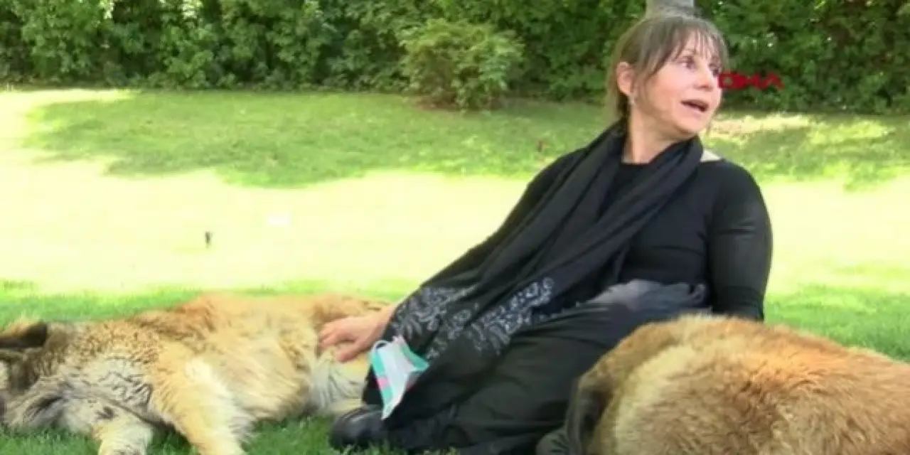 Tiyatro sanatçısı köpekleri beslerken saldırıya uğradı