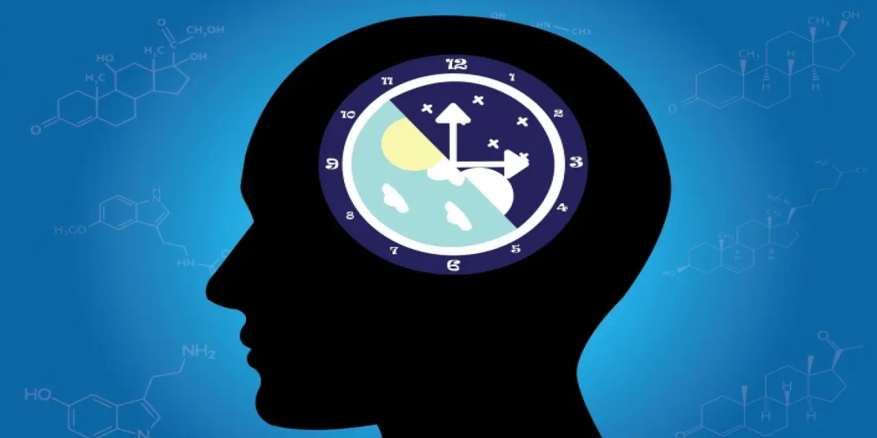 Melatonin hormonu nelerde bulunur?