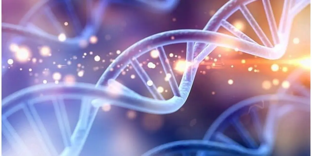 Hastalıkları engellemek için genetik düzenleme gelecek