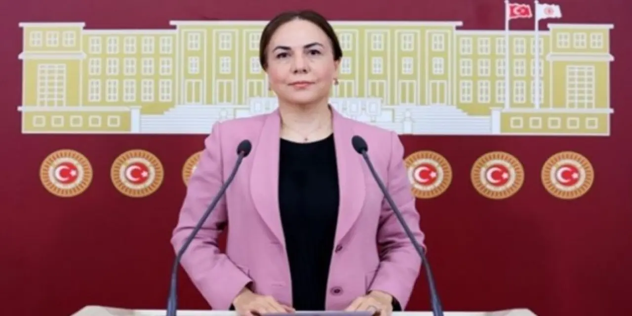 Aracından indirilen ve polise hakaret eden AK Partili Zeynep Gül Yılmaz ilk defa konuştu