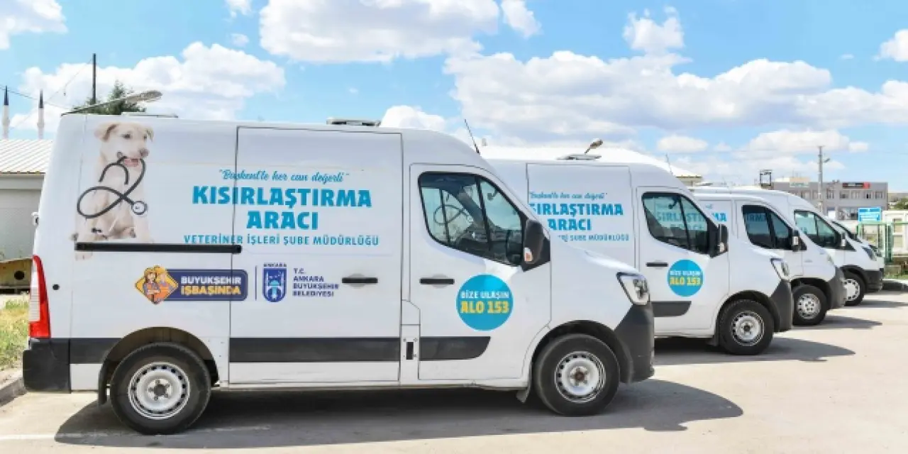 ABB’den hayvan dostlarımız için Kısırlaştırma Seferberliği