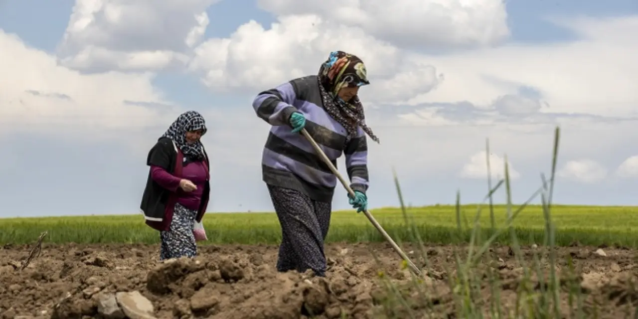 Ankaralı iki kadın çiftçi topraktan kazandığı paralarla çocuklarını okuttu
