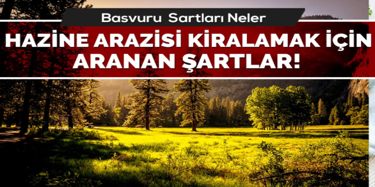 Hazine Arazisi Kiralama Nasıl Yapılır Ve Şartları Nelerdir?