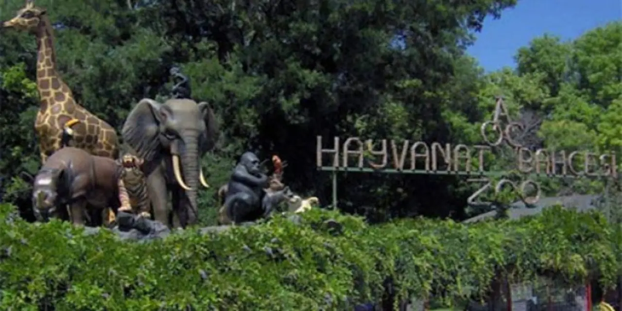 Ankara Hayvanat Bahçesi Nerede? Nasıl Gidilir?