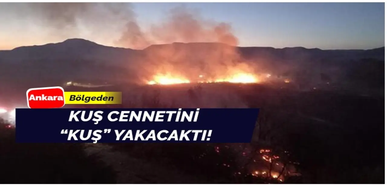 Kuş Cenneti’ni az kalsın kuş yakıyordu