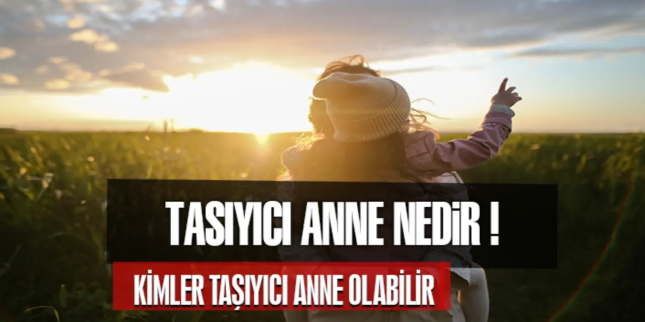 Taşıyıcı Anne Nedir? Taşıyıcı Anne Nasıl Olunur, Nereden Bulunur?