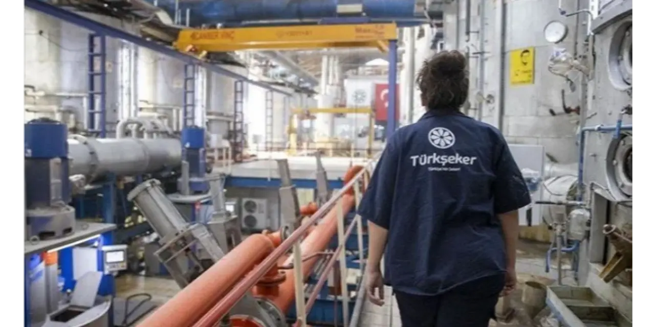 Türkşeker 1350 Geçici İşçi Alacak: İhtiyaç Duyulan Branşlar ve Kontenjanlar